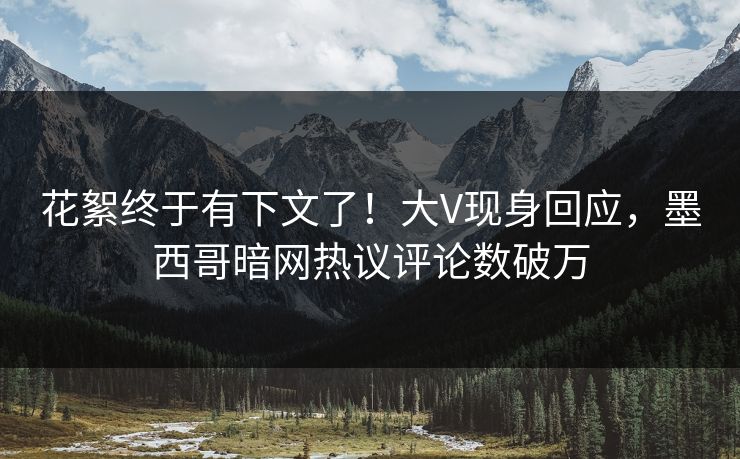 花絮终于有下文了！大V现身回应，墨西哥暗网热议评论数破万