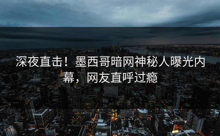 深夜直击！墨西哥暗网神秘人曝光内幕，网友直呼过瘾