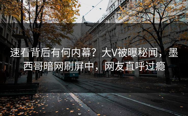 速看背后有何内幕？大V被曝秘闻，墨西哥暗网刷屏中，网友直呼过瘾