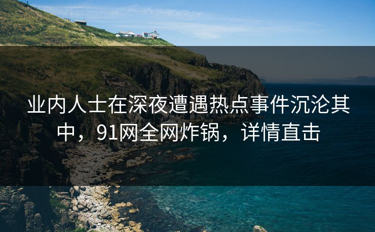 业内人士在深夜遭遇热点事件沉沦其中，91网全网炸锅，详情直击