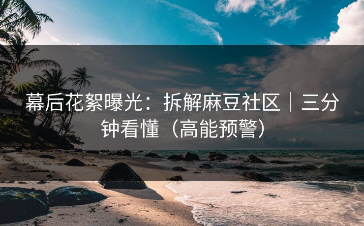 幕后花絮曝光：拆解麻豆社区｜三分钟看懂（高能预警）